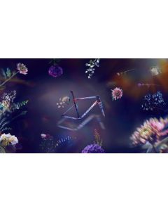 Specialized S-Works Tarmac SL8 Demi Vollering LTD