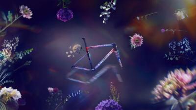 S-Works Tarmac SL8 Demi Dreaming LTD